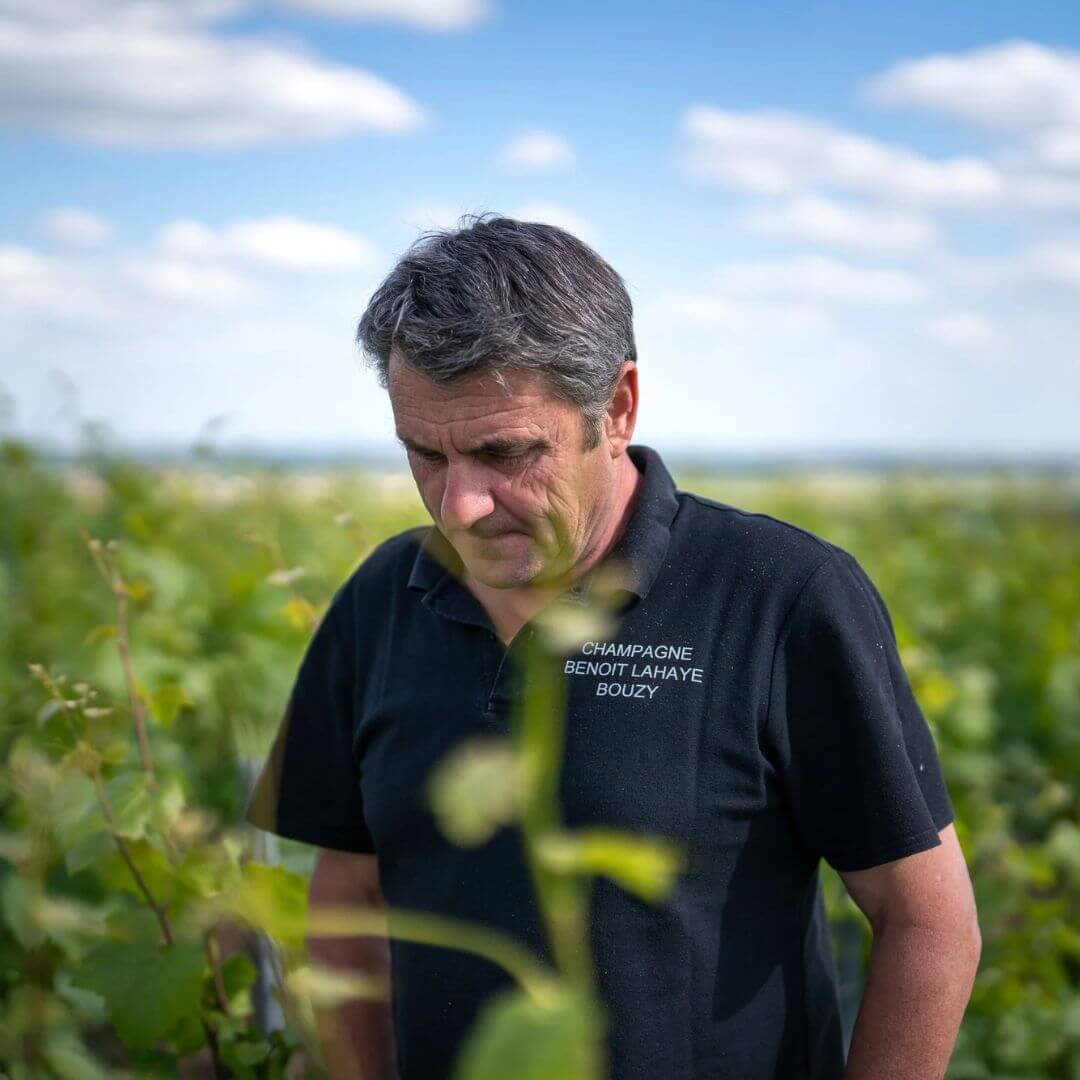 Benoît Lahaye