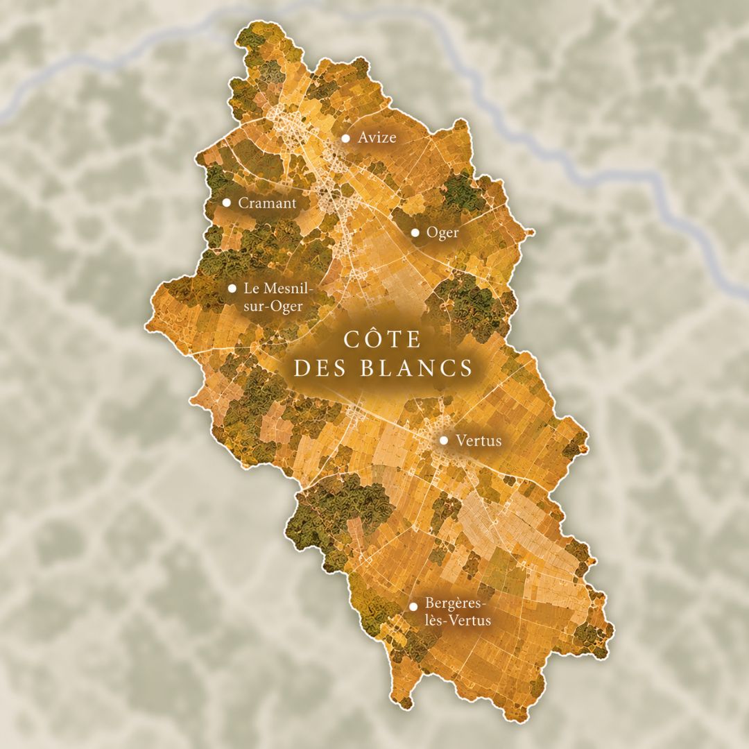 Côte des Blancs