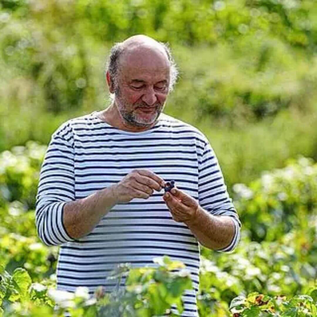 Georges Laval