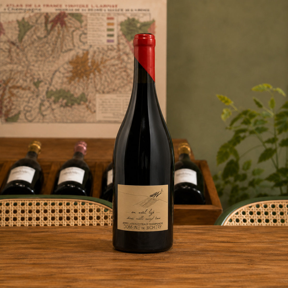 Domaine de la Bichery Le Coteau, Val Ligé 2023