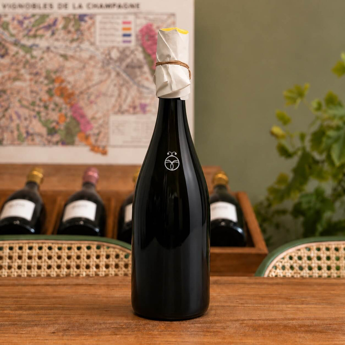 Bouteille de champagne Mathieu Faniel Les Bois de Fleury, Blanc de Noirs 2022