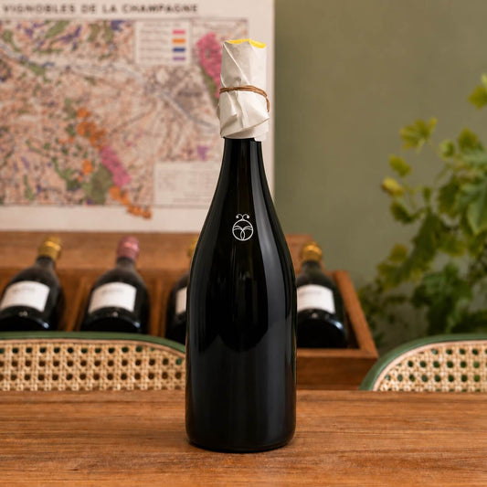 Bouteille de champagne Mathieu Faniel Les Bois de Fleury, Blanc de Noirs 2022